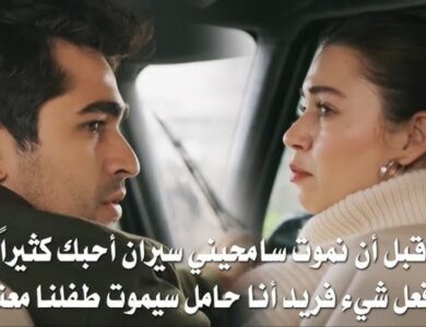 مشاهدة وتحميل مسلسل الطائر الرفراف الحلقة 94